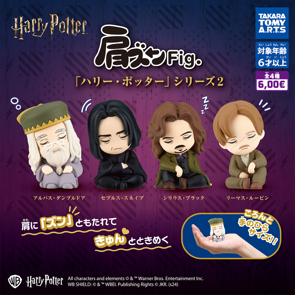 [PREORDER] [CAPSULE TOYS] Mini Figur - Harry Potter - Schulterlanges Haar Part 2 (Blind)