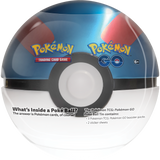 Pokémon Sword & Shield Pokémon Go Pokeball Tin (englisch) (zufällig)